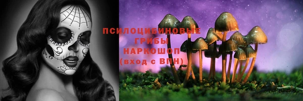 дурь Алексин