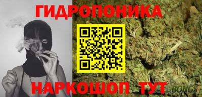 прущие грибы Азнакаево